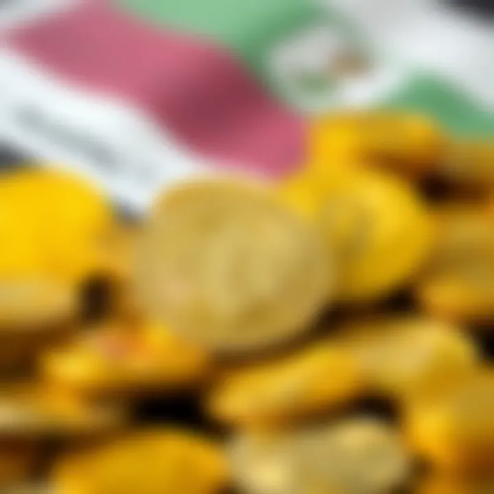 Common Cryptocurrencies Traded in Nigeria Digital coins representing various cryptocurrencies used in Nigerian trading markets